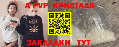 прущие грибы Сланцы